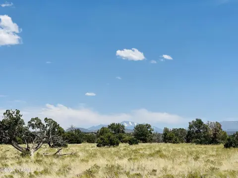 36.3 Acres in South Rim Ranch