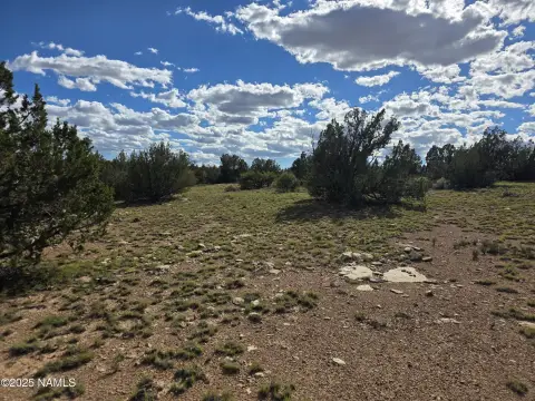 10-Acre Off-Grid Land Parcel