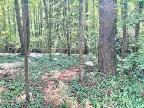 Residential Land in Atlanta, GA