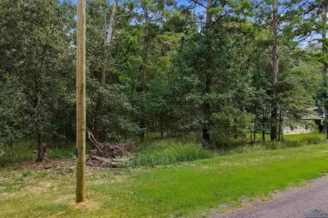 Waterfront Lots on Lake O’ Pines