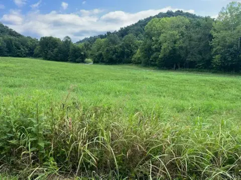 Recreation Hunting Land with Springs