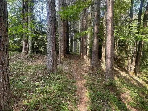 Residential Land Near Blackwater Falls