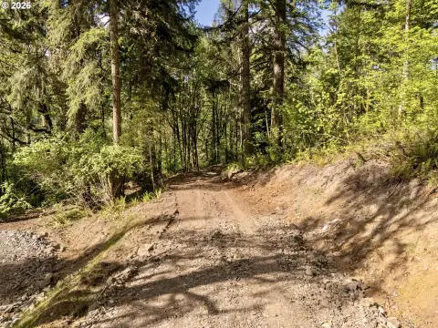 Kalama River Valley Acreage
