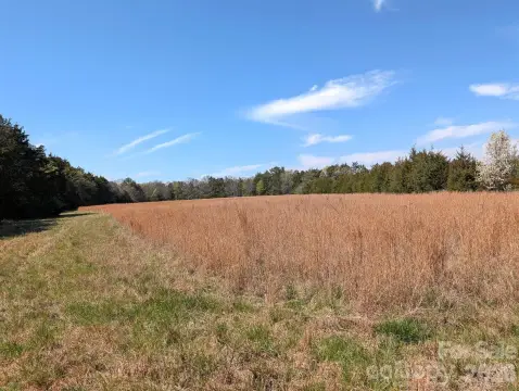 21.718 Acres of Level Land