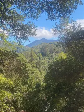 Fairfax Land with Mountain Views