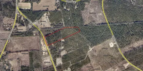 Wagener SC Land Opportunity