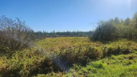 Wooded Hunting Land