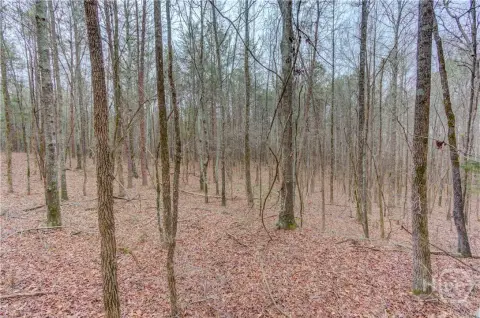 9.43 Acres of Wooded Land