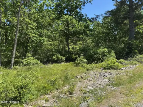 Wooded Residential Home Lot