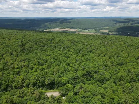 Wooded Hunting/Recreation Land Parcel