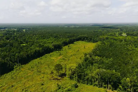 Hunting Timberland with Rolling Terrain
