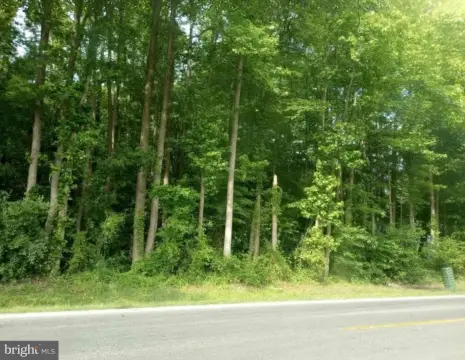 Commercial Land Parcel