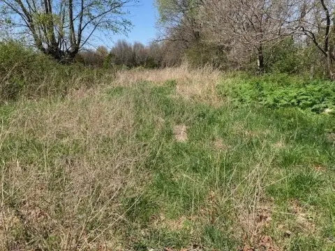 Marshfield Vacant Land For Sale