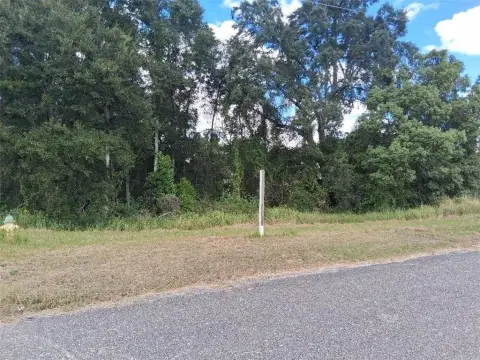 Wooded Commercial Land