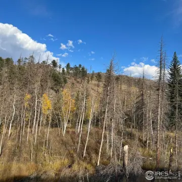 Mountain Recreation Land Parcel