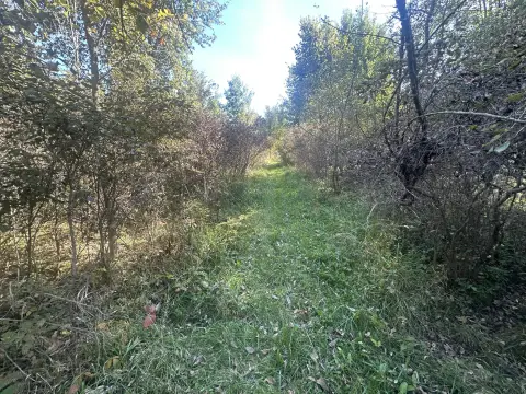 Wooded Hunting Land with Trails