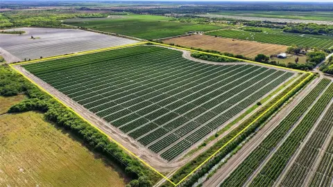 Greenhouse Farm With Production Fields
