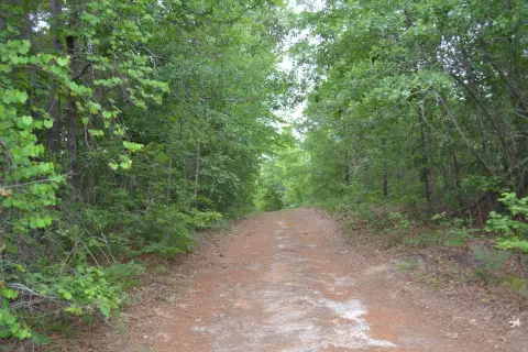 Aiken Land with Development Potential