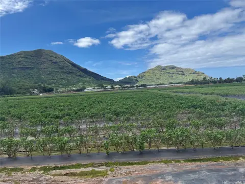 Waianae Farmland Opportunity