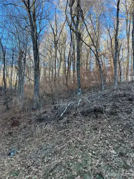 Land in Wolf Laurel Community