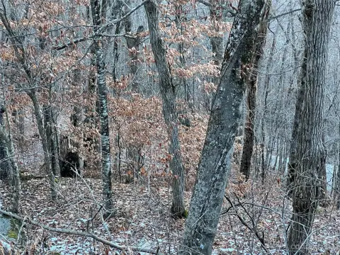 Land in Wolf Laurel Community