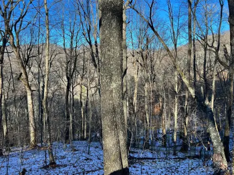 Land in Wolf Laurel Community