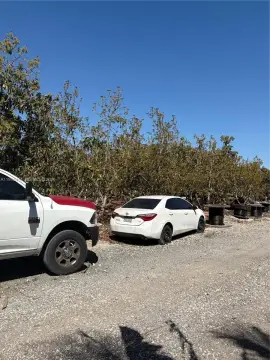 2.6 Acre Nursery Opportunity