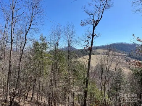 Land in Blue Ridge Mountains