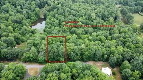 Wooded Lot Near Blue Ridge