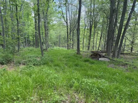 23-Acre Wooded Property in South Dayton