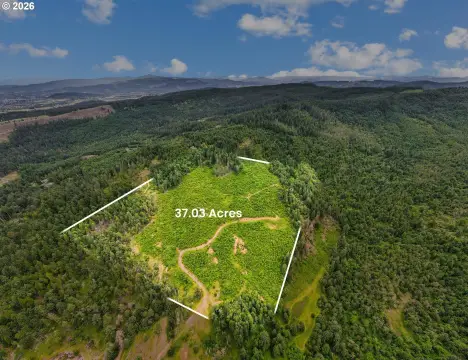 Private Forest Land with Seasonal Creek