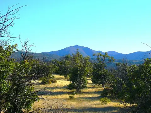 Large Acreage Near Oregon Border