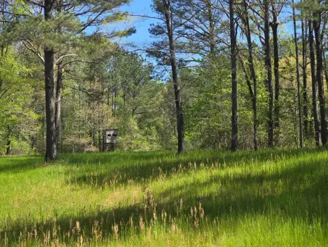 Versatile Land with Recreational Potential