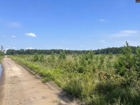 Flat Agricultural Land with Trees