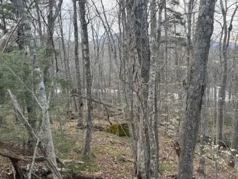 Killington Land Near Ski Resort