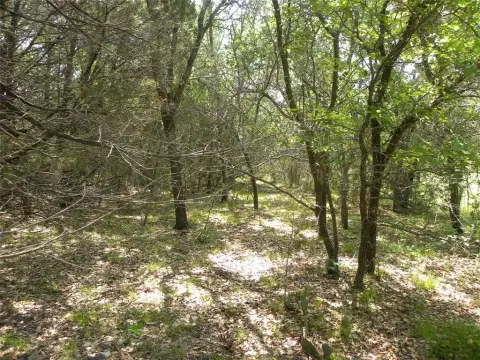 Residential Land in Golf Community