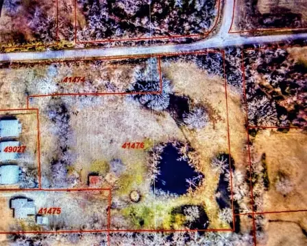 4-Acre Tract in Blossom, TX