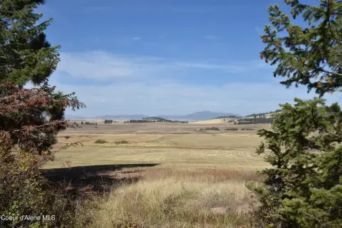 Hunting Land with Timber