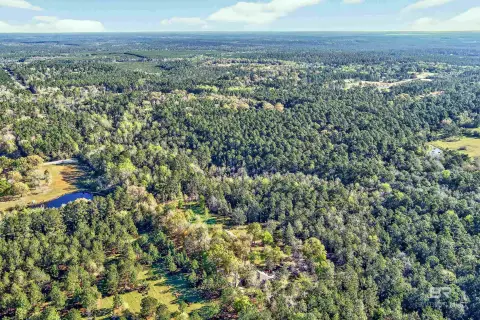 Expansive Residential Estate Parcel