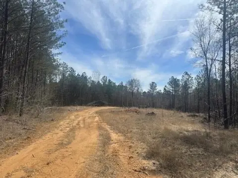 Shiloh, TN 5.58 Acre Land