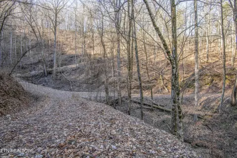 Ready-to-Build Mountain View Lot