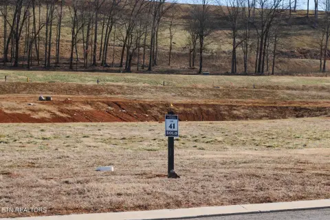 Residential Lot in Tennessee National