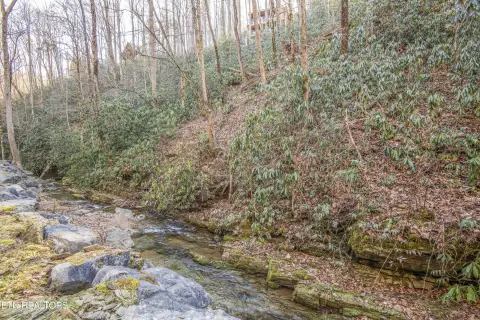 Gated Community Mountain Lot