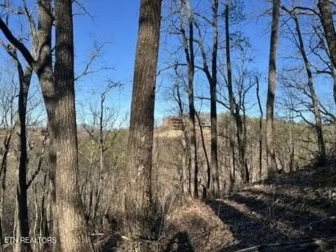 Sevierville Land: Development Opportunity