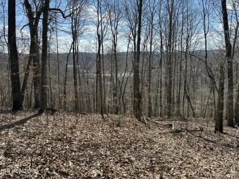 Sharps Chapel Mountain Acreage