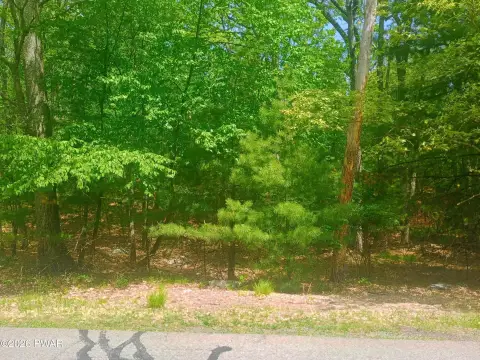 Residential Land in Oak Ridge