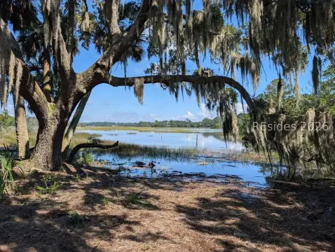 Cleared Land with Marsh Views