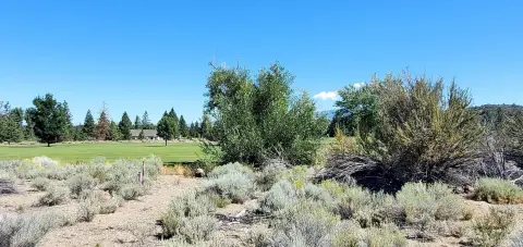 Golf Course Lot with Views