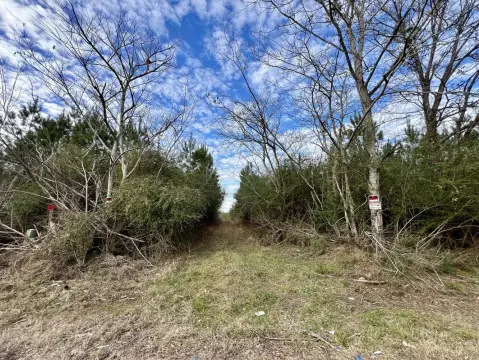 Land with Road Frontage