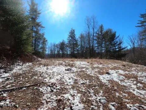 Secluded Mountain View Lot